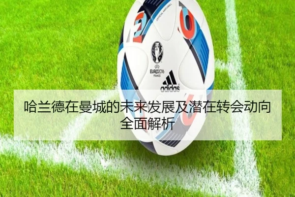 哈兰德在曼城的未来发展及潜在转会动向全面解析